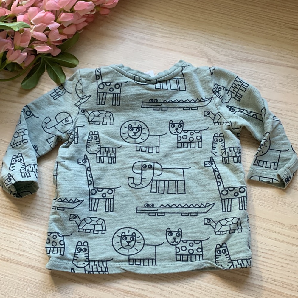 Seed Heritage Boy 6-12‎ months light Sage Sweatshirt. - Picture 6 of 6